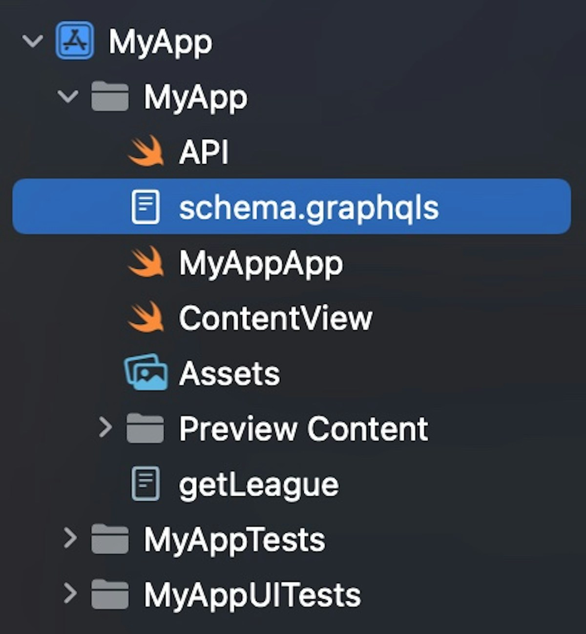 Location of schema file in project