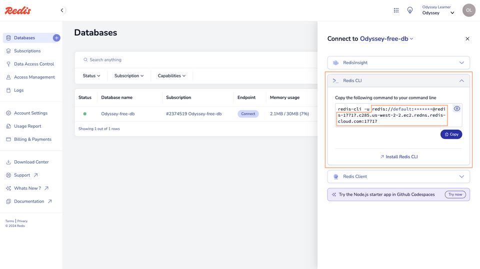 Redis database in the browser, highlighting the URL for our node