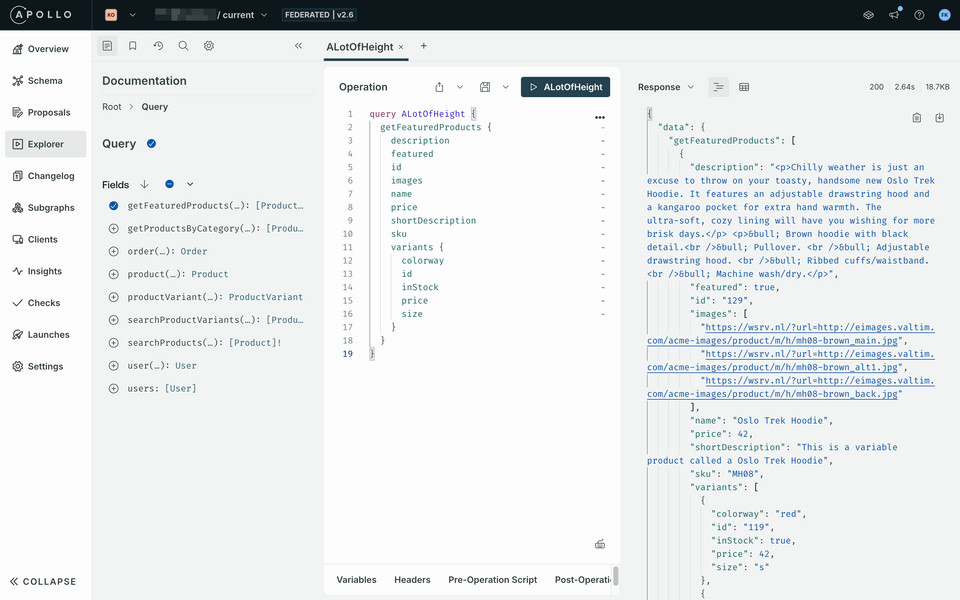 Studio view of Explorer with successful query result