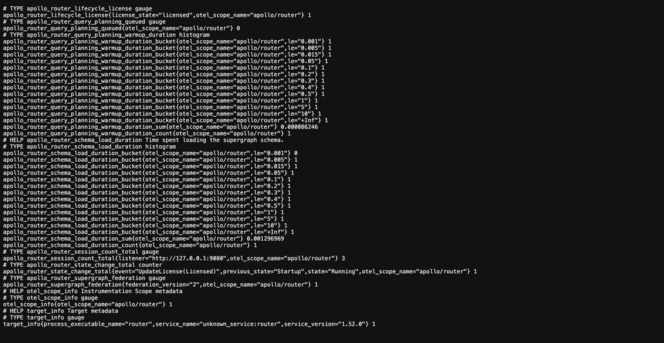 The metrics port opened, showing output from the router